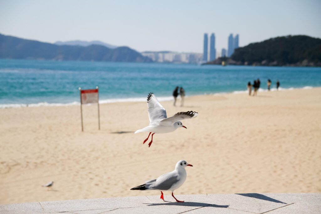 부산