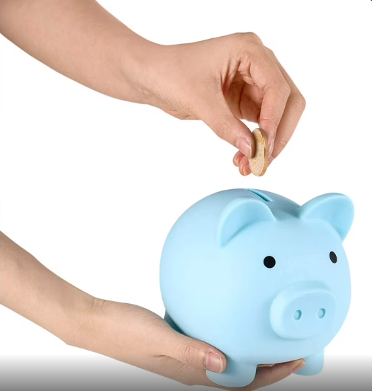 small-amount-savings-bank.jpg