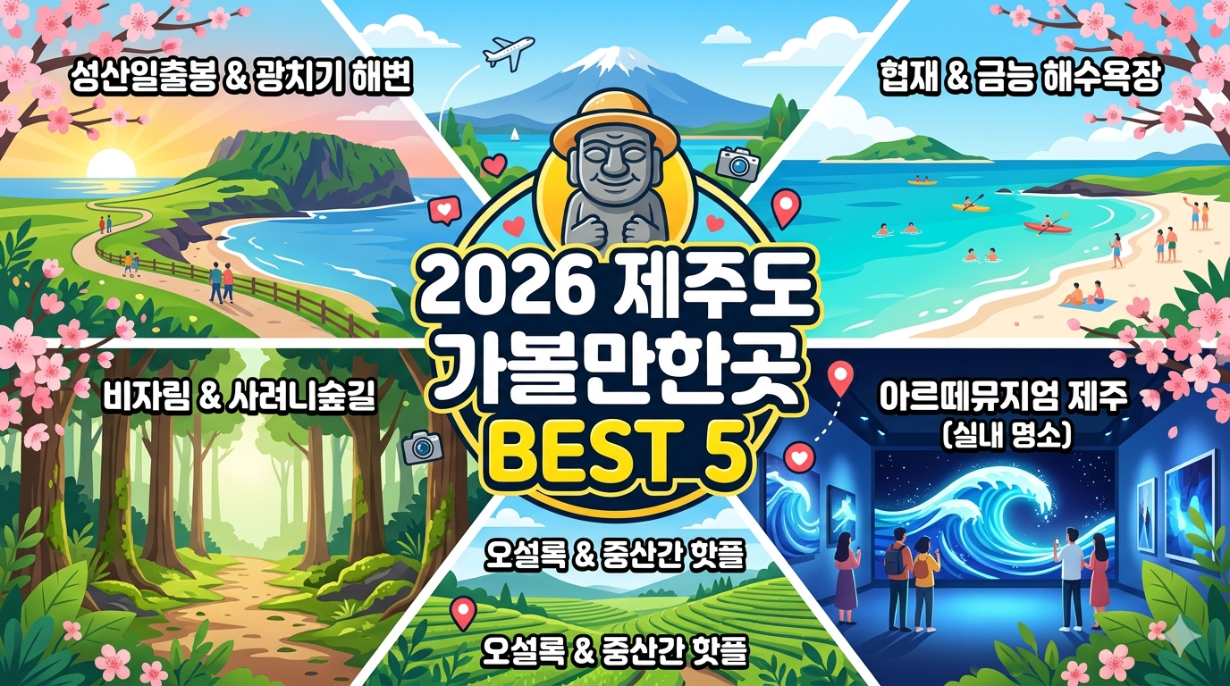 제주도 가볼만한곳 총정리: 입장료 무료인 곳과 시간 아끼는 예약 팁