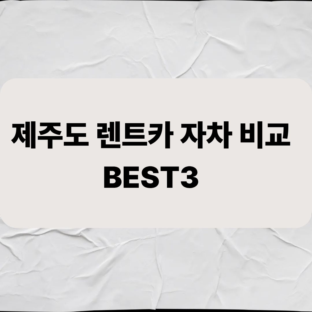 제주도 렌트카 자차 비교 BEST3
